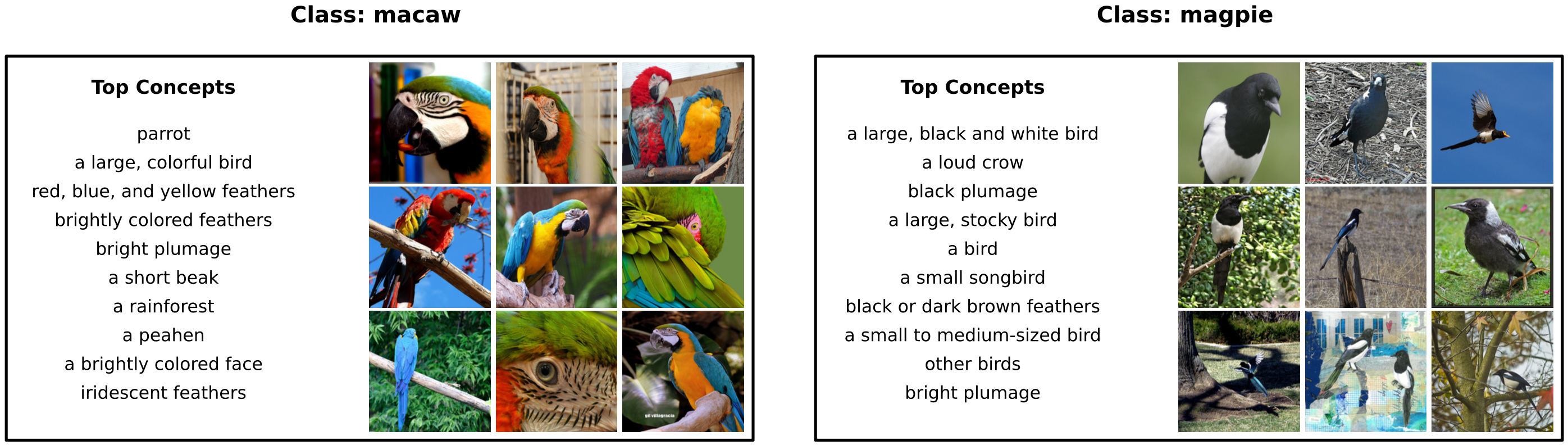 Class-level Analysis