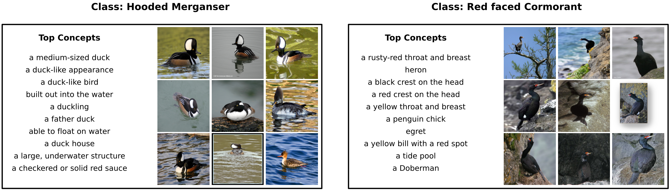 Class-level Analysis