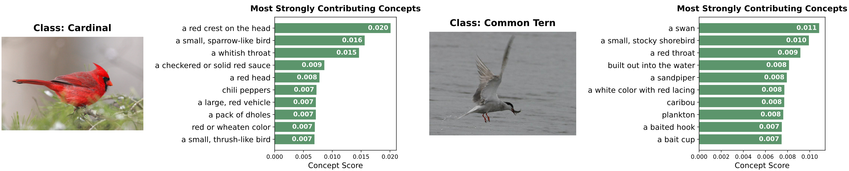 Image-level Analysis