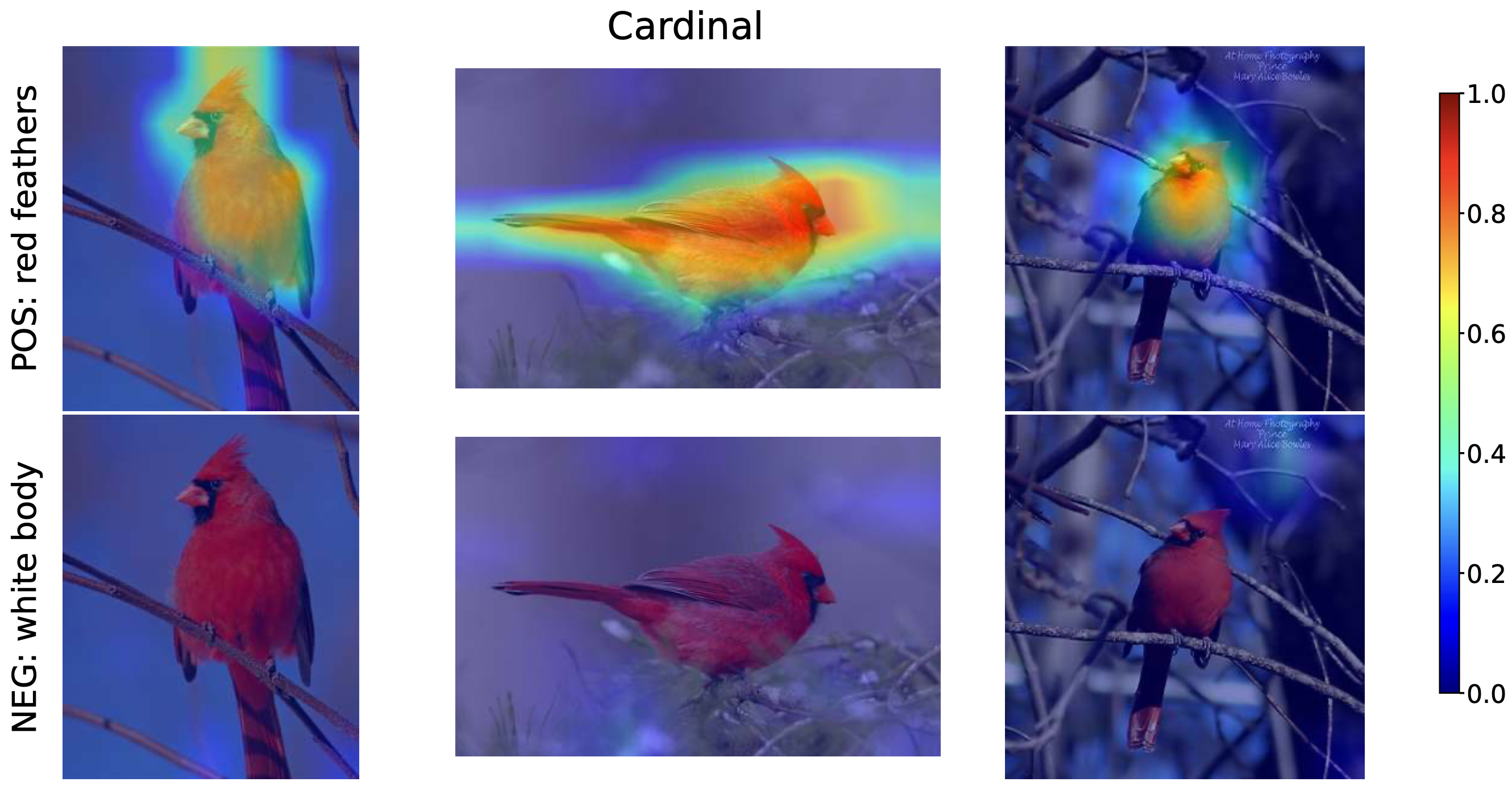 Region-level Concept Alignment