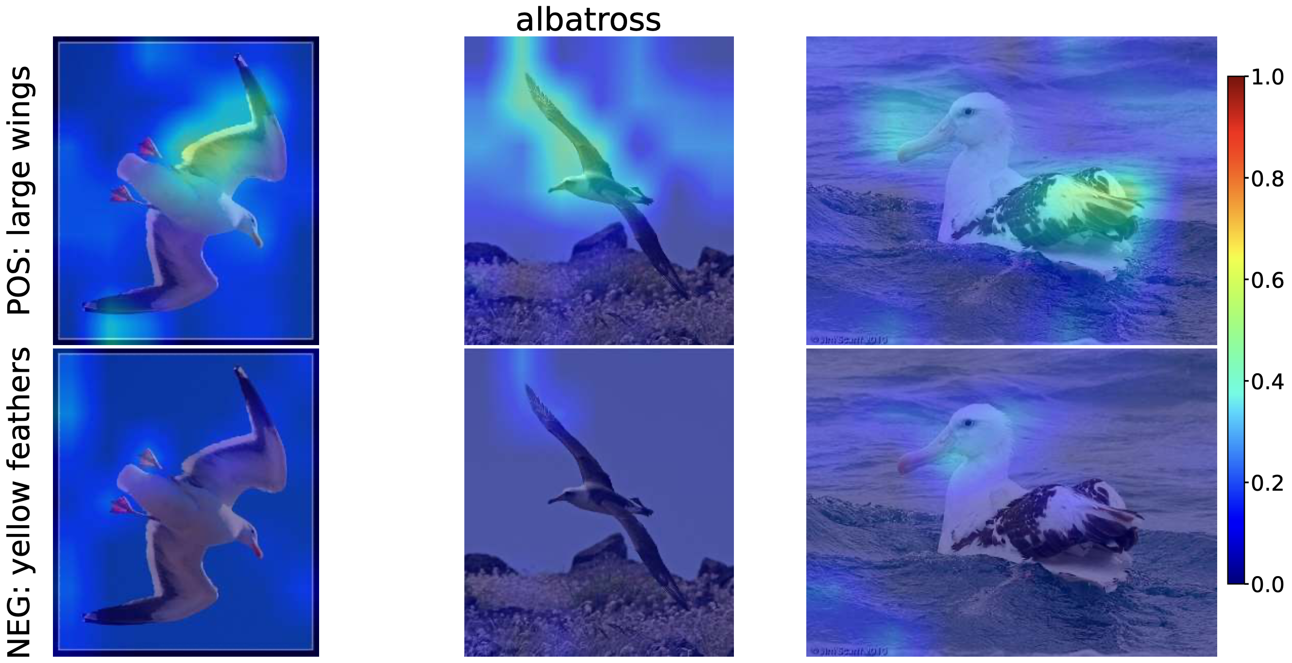 Region-level Concept Alignment